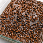 A warm, fudgy chocolate slab in a glass baking dish dotted with melted chocolate chips, showing the rich texture of a dump cake fresh from the oven.